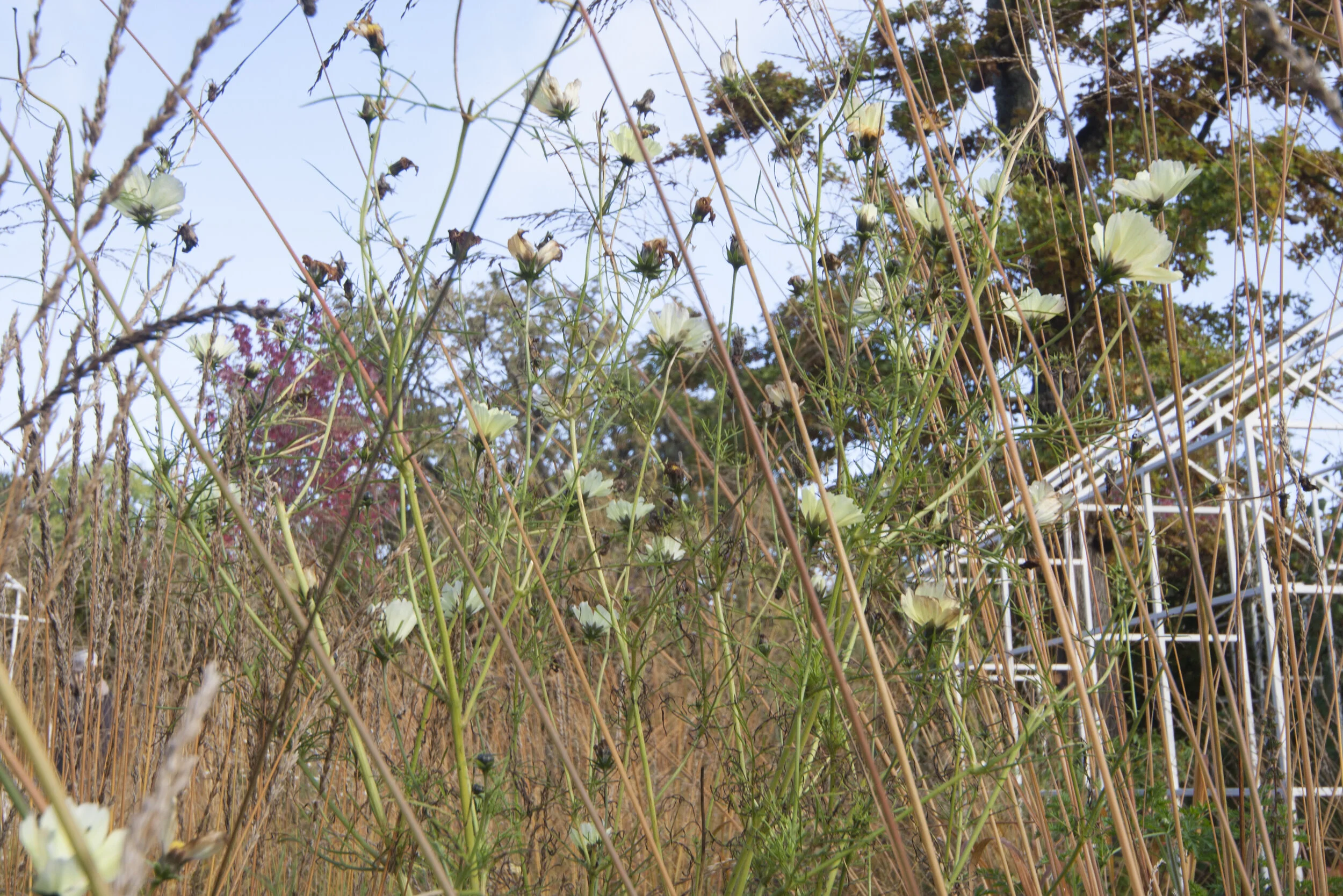 Chaumont sur Loire Festival