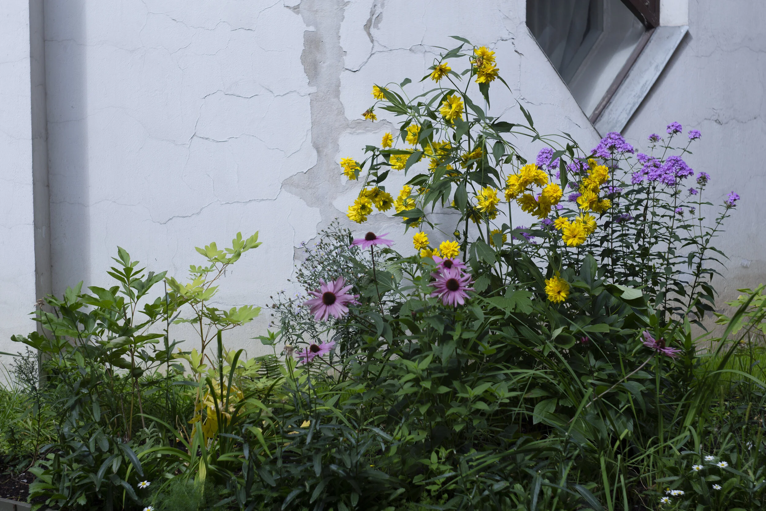 Melnikovs' House Garden