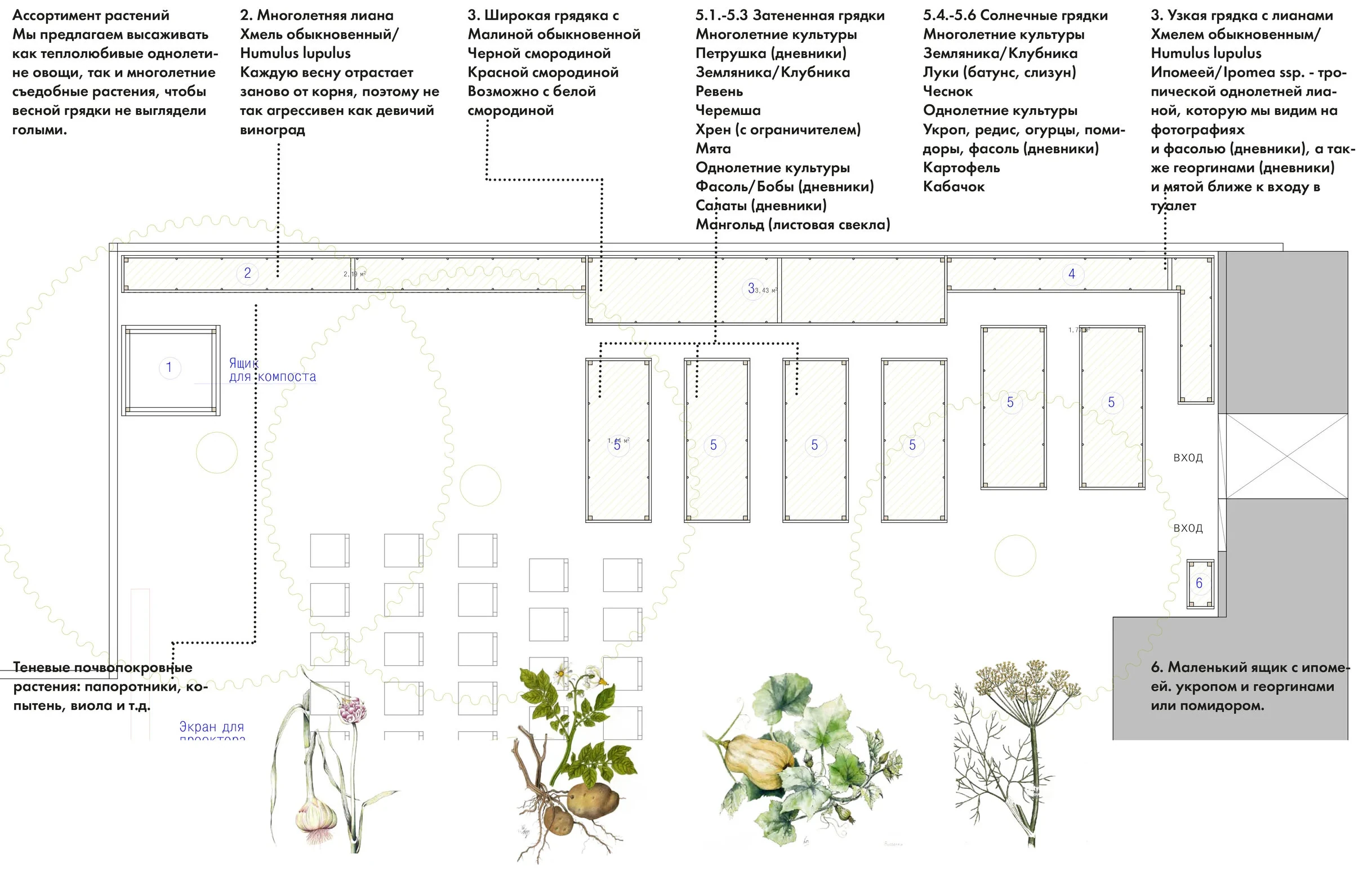 Melnikovs' House Garden