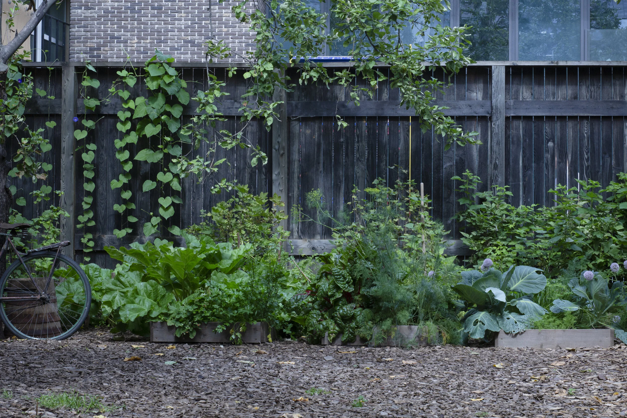 Melnikovs' House Garden