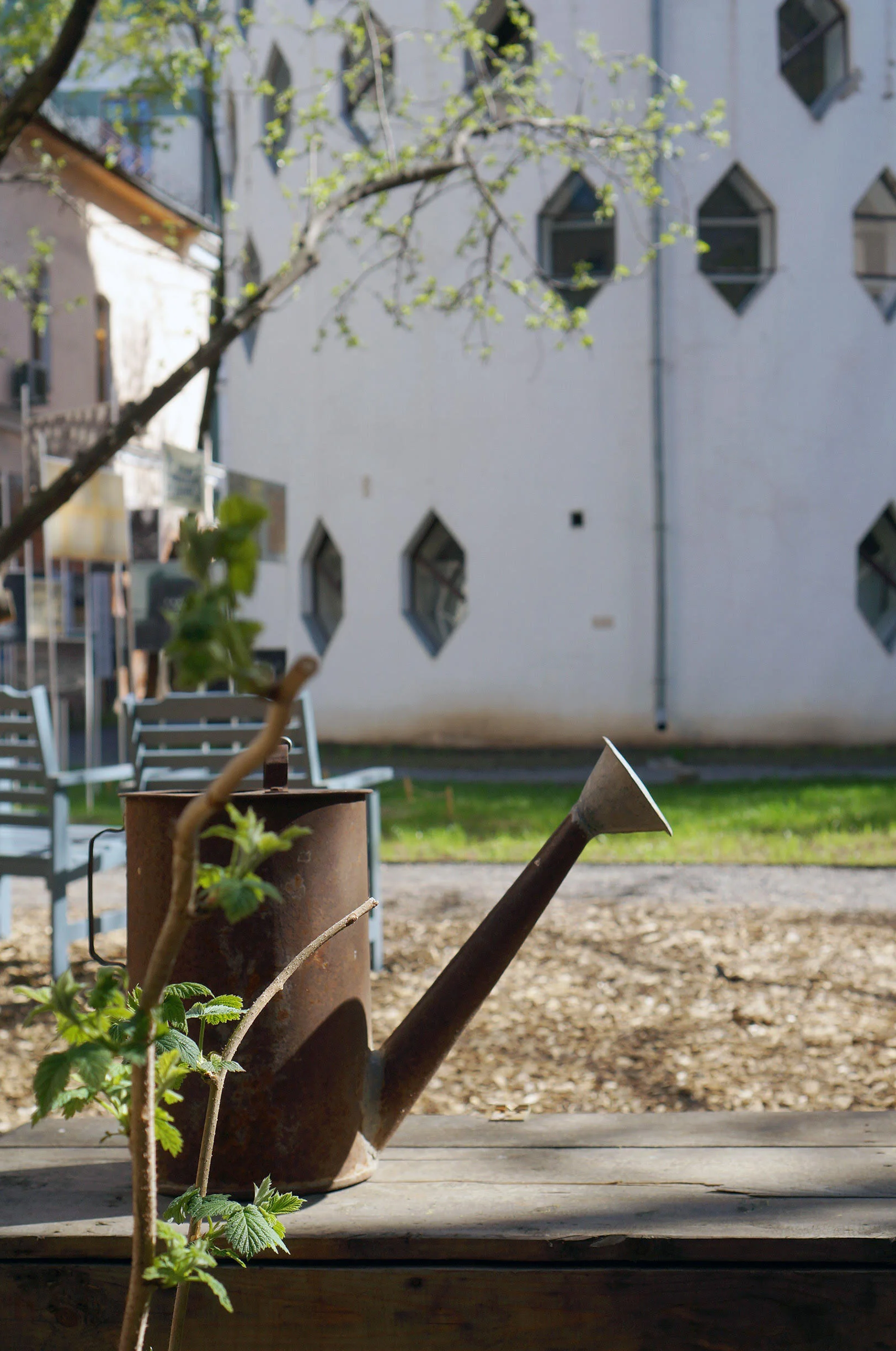 Melnikovs' House Garden