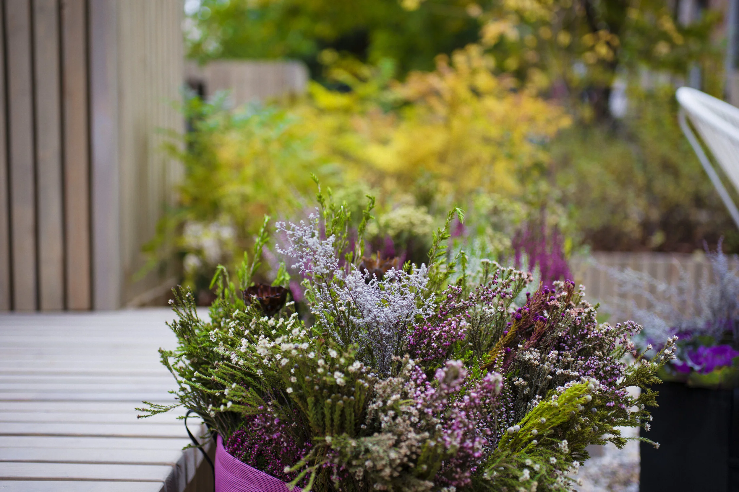 Podium Garden in Central Moscow