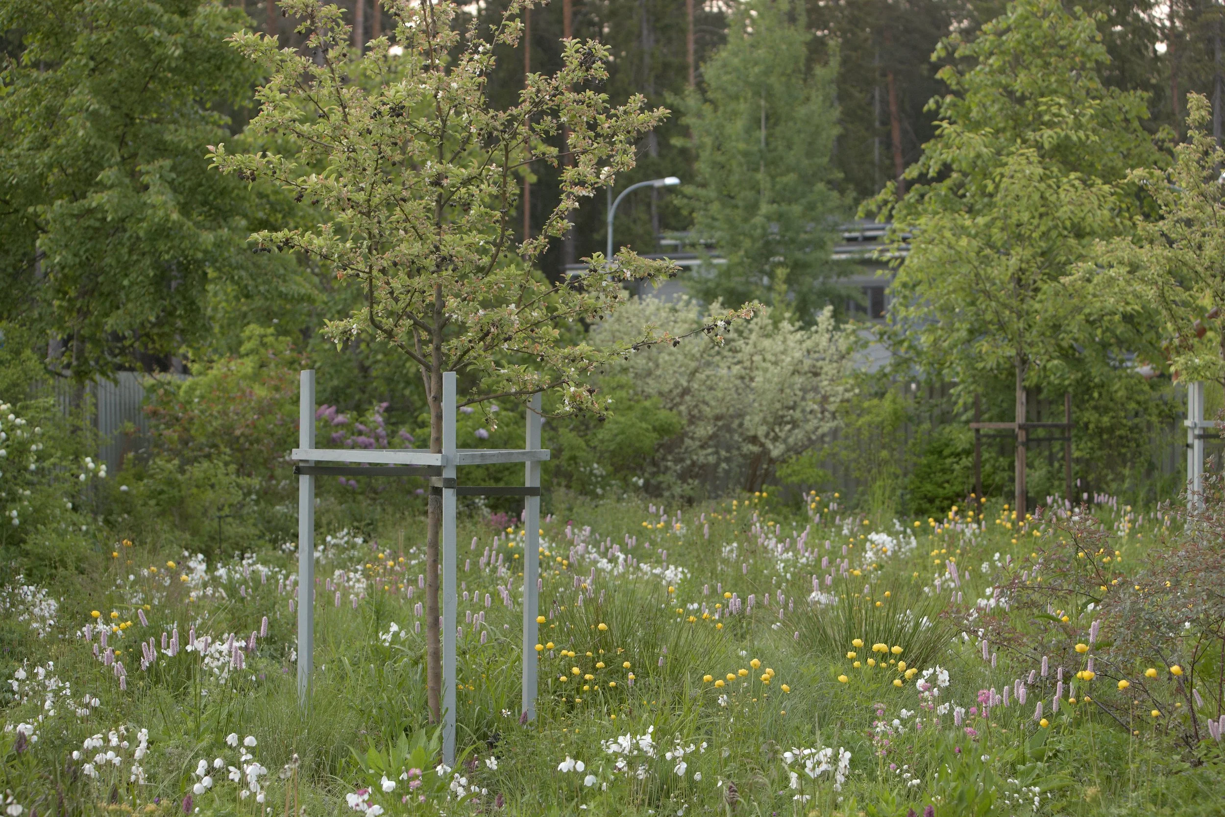 Bay of Finland Garden