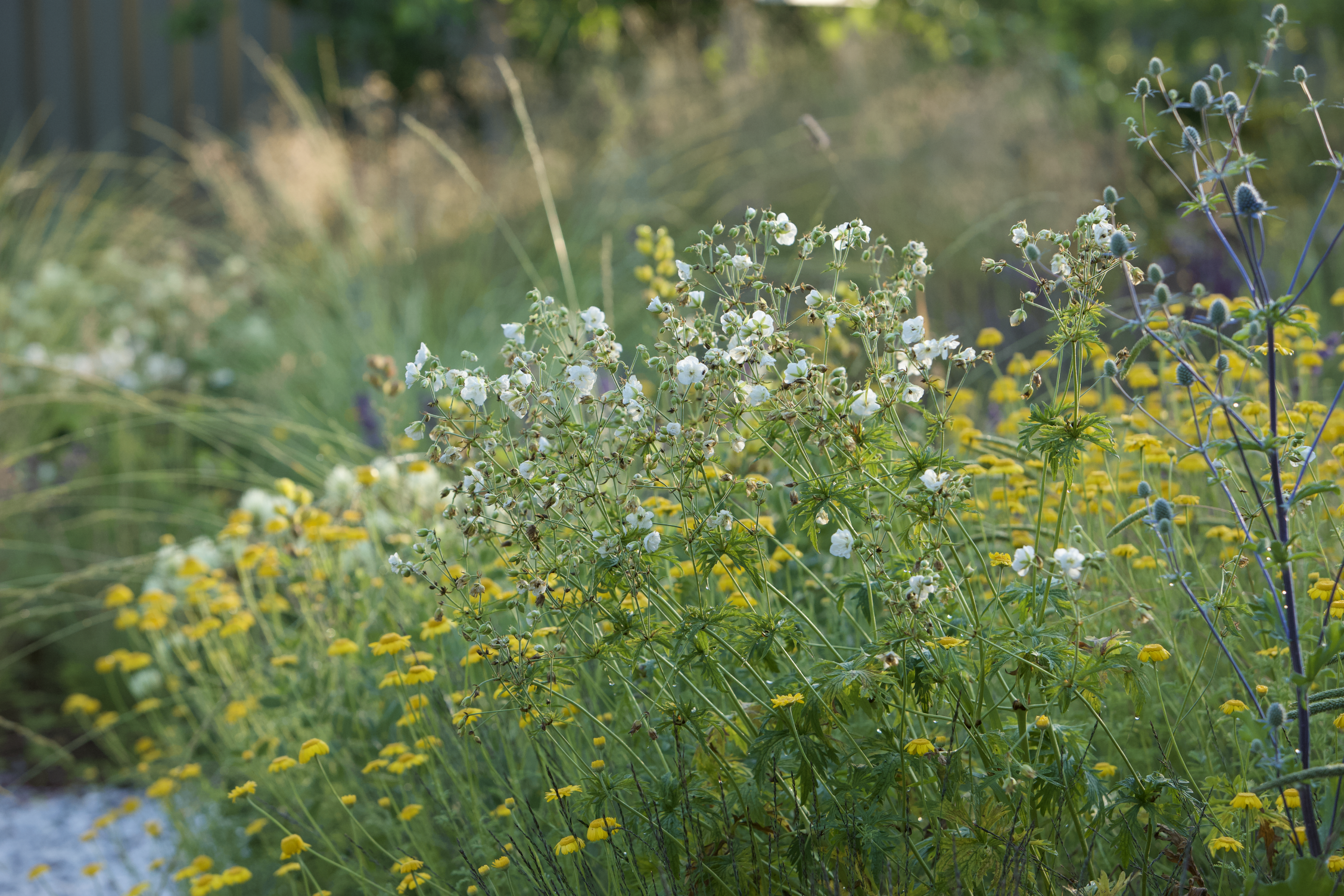Bay of Finland Garden