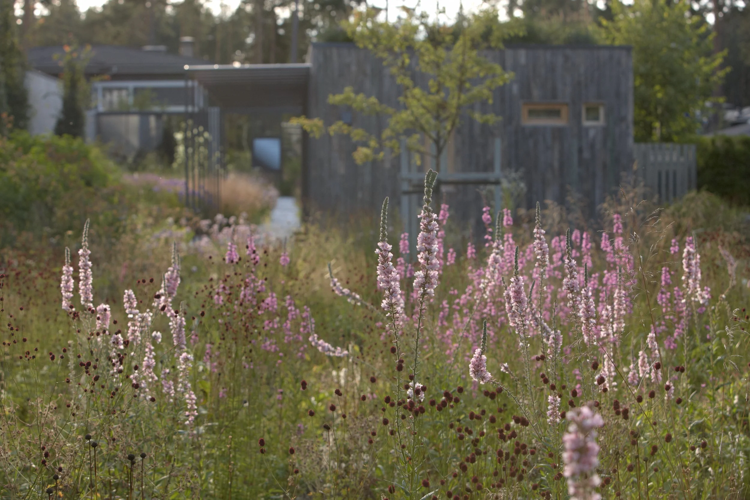 Bay of Finland Garden
