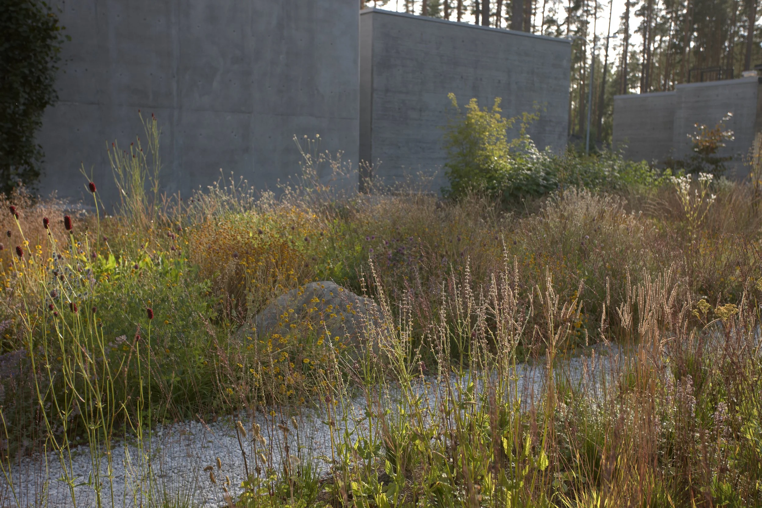 Bay of Finland Garden