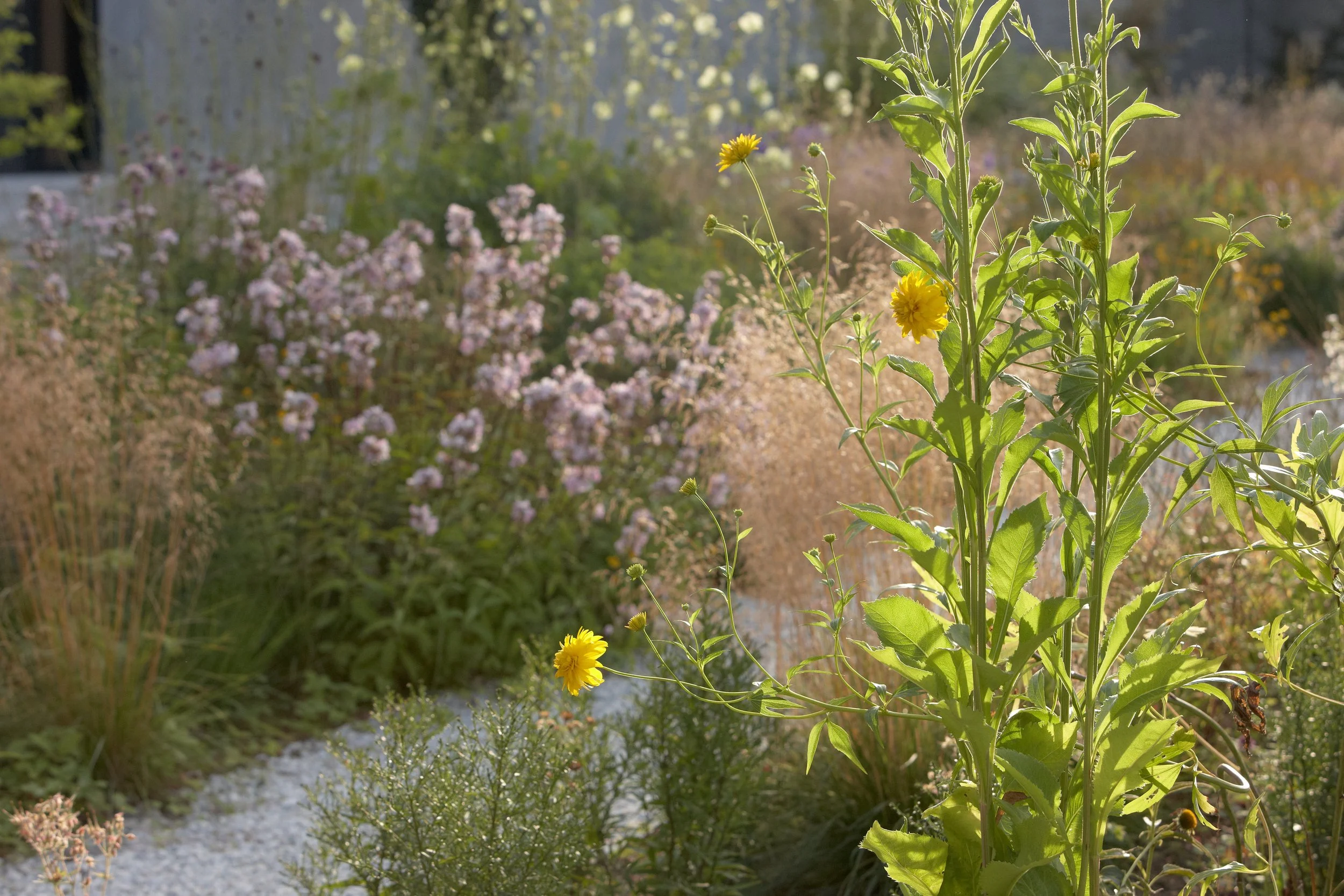 Bay of Finland Garden