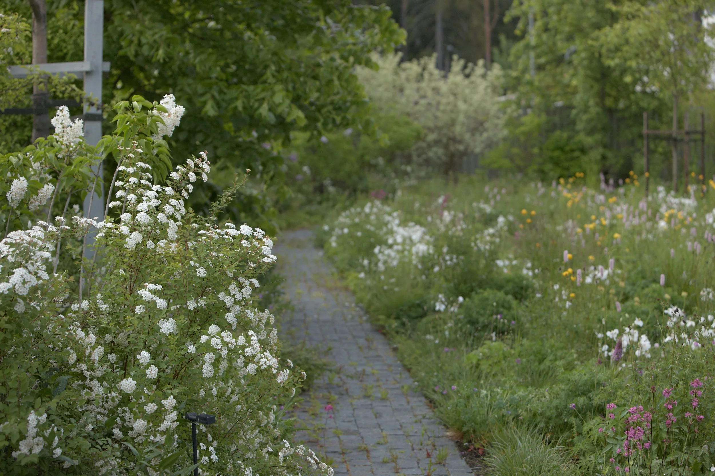 Bay of Finland Garden