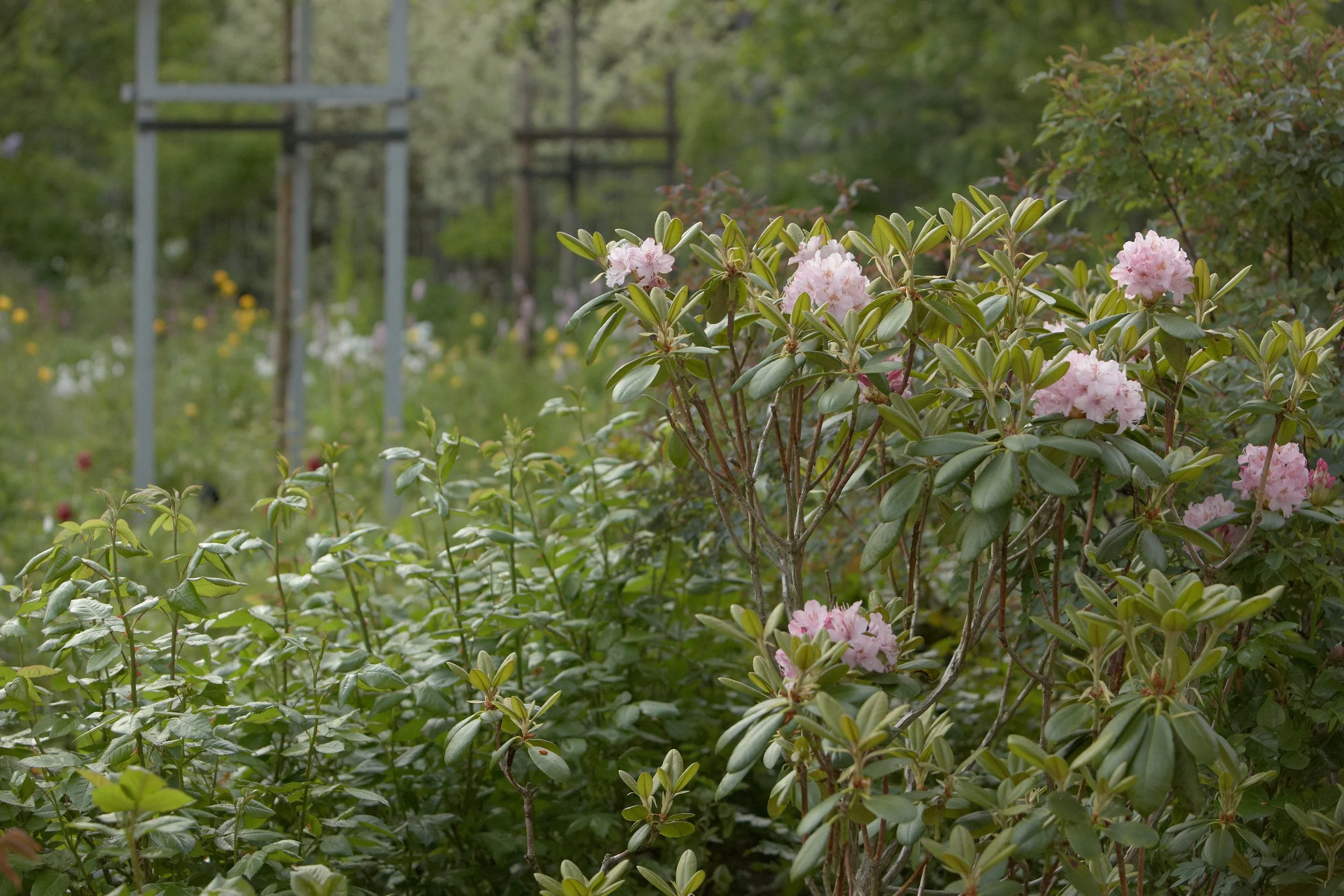 Bay of Finland Garden