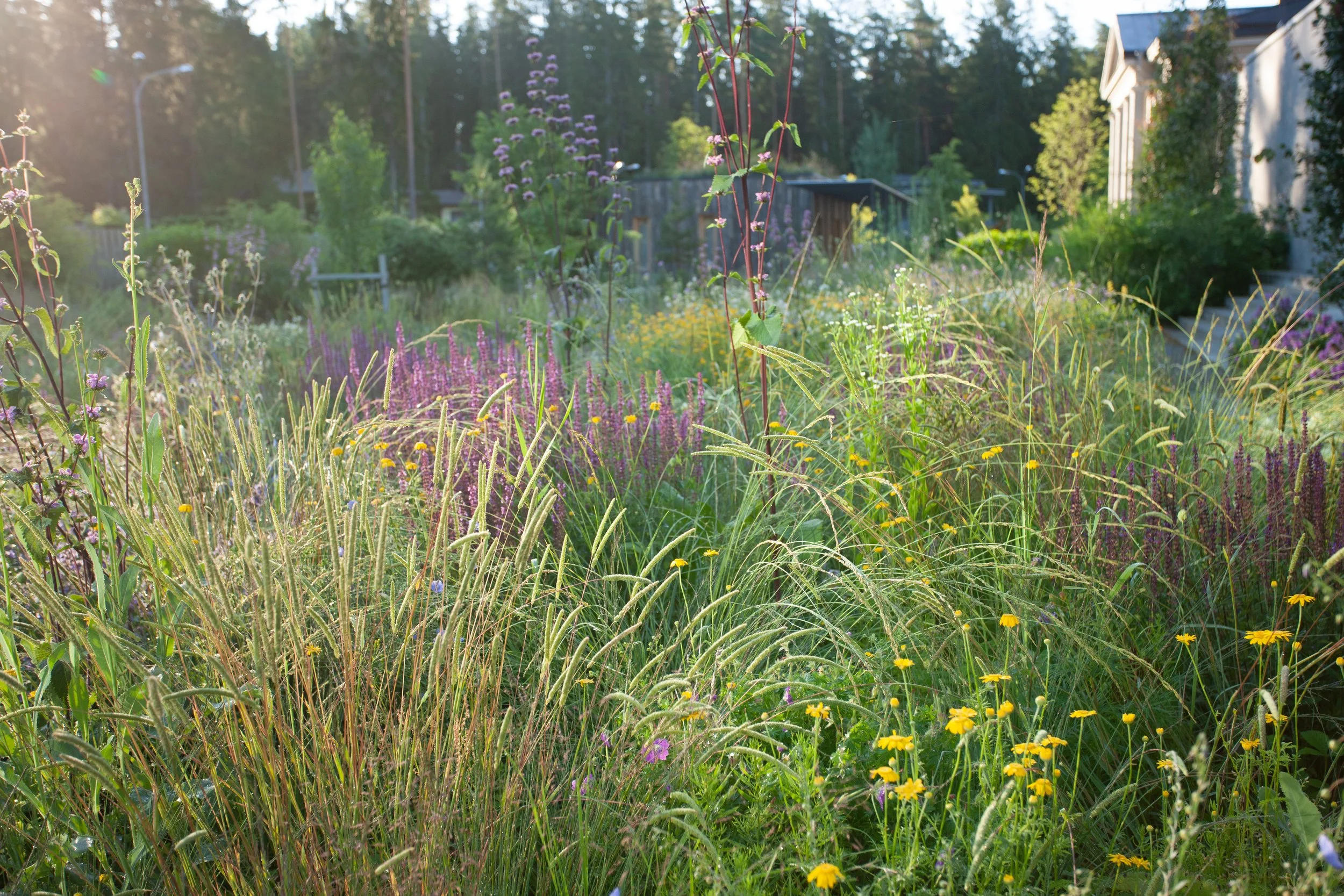 Bay of Finland Garden