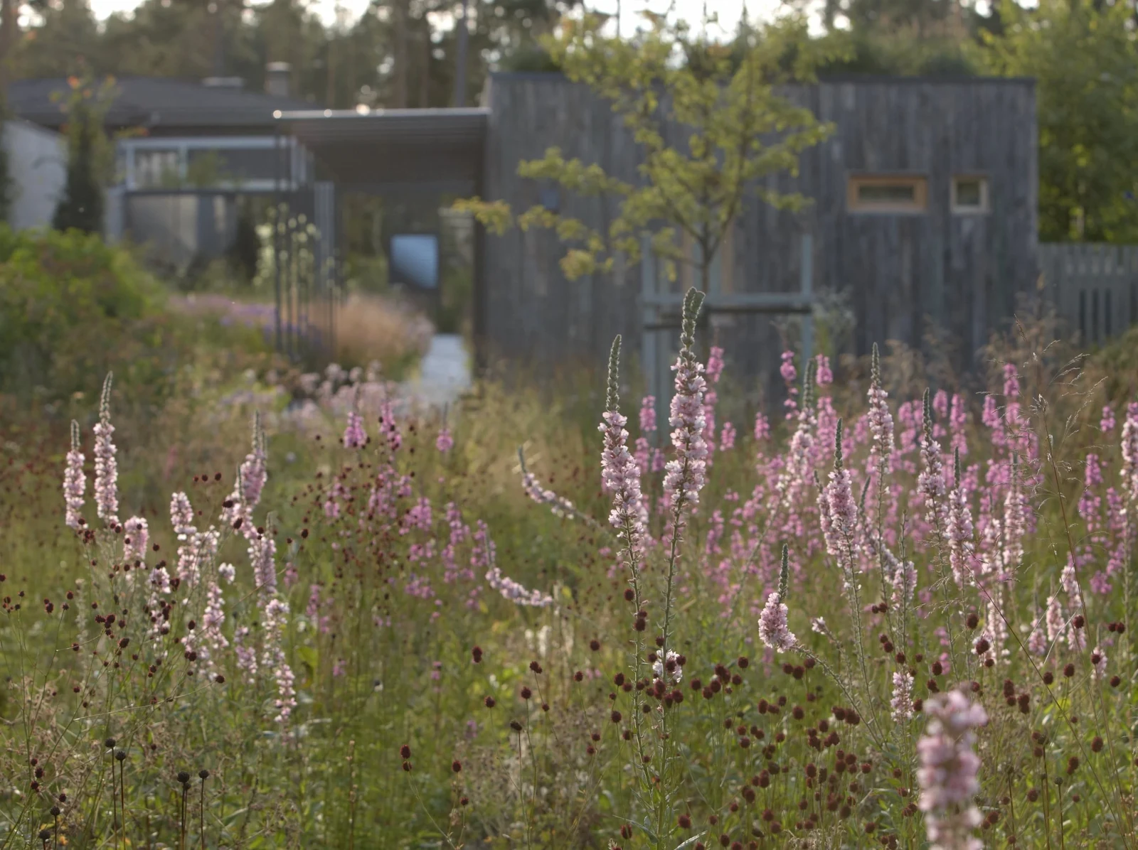Bay of Finland Garden