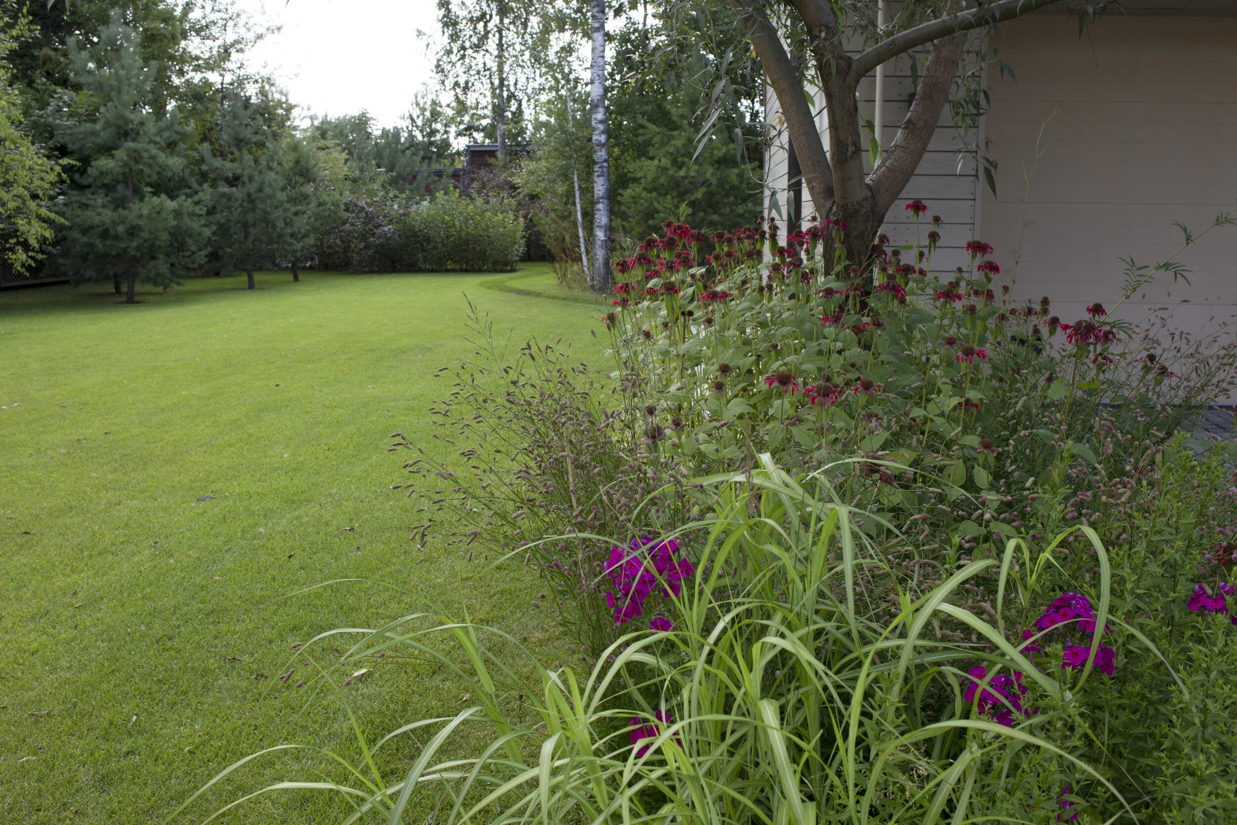 Club 2071 Woodland Garden