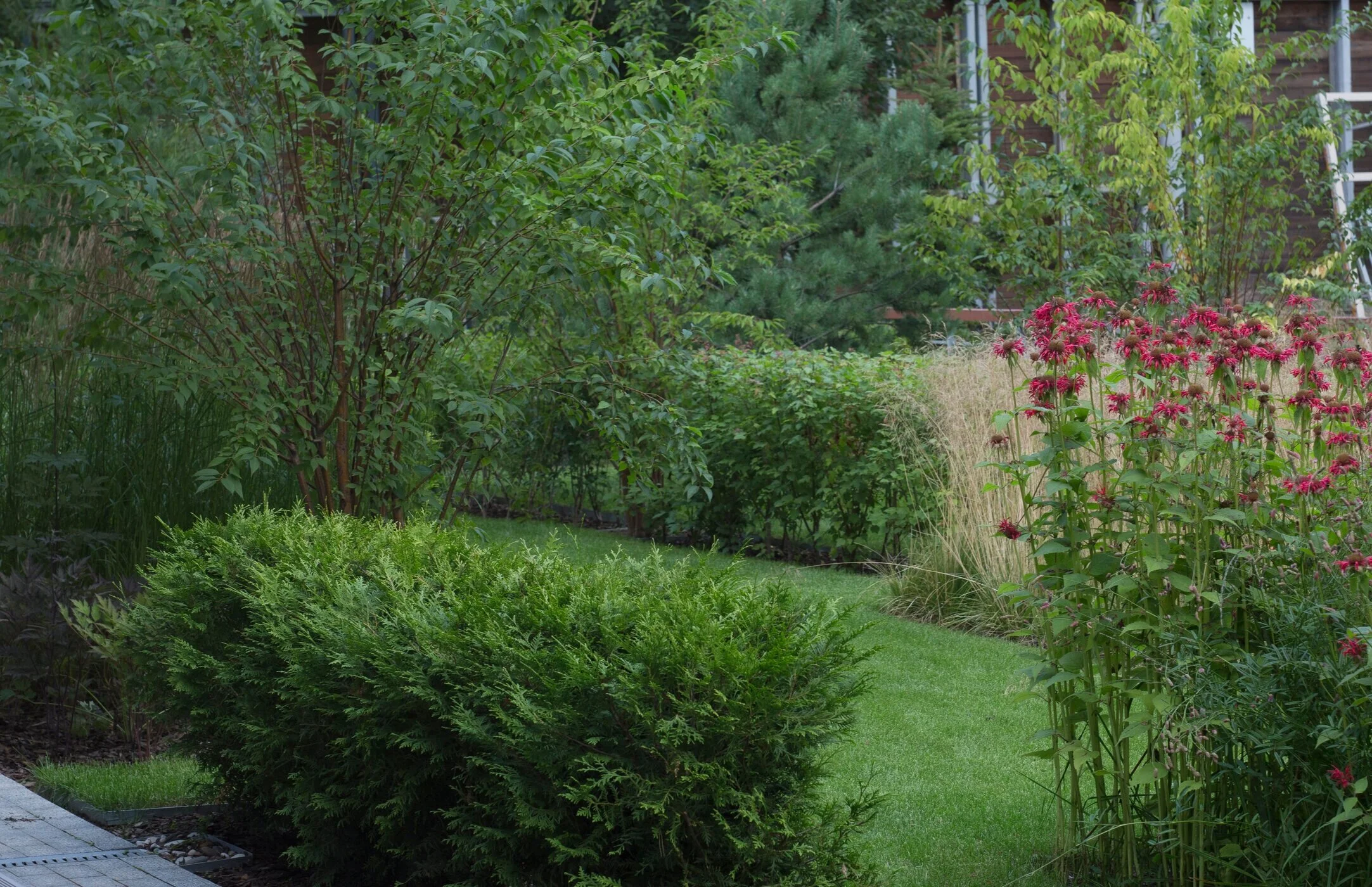 Club 2071 Woodland Garden