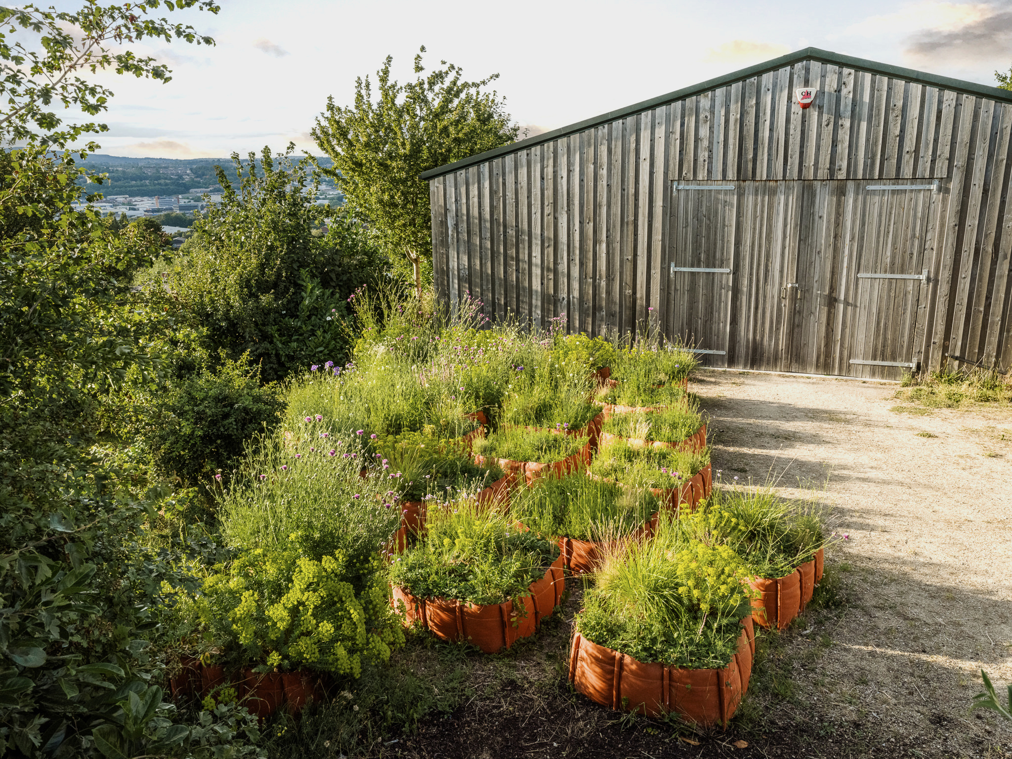 Bay of Finland Garden