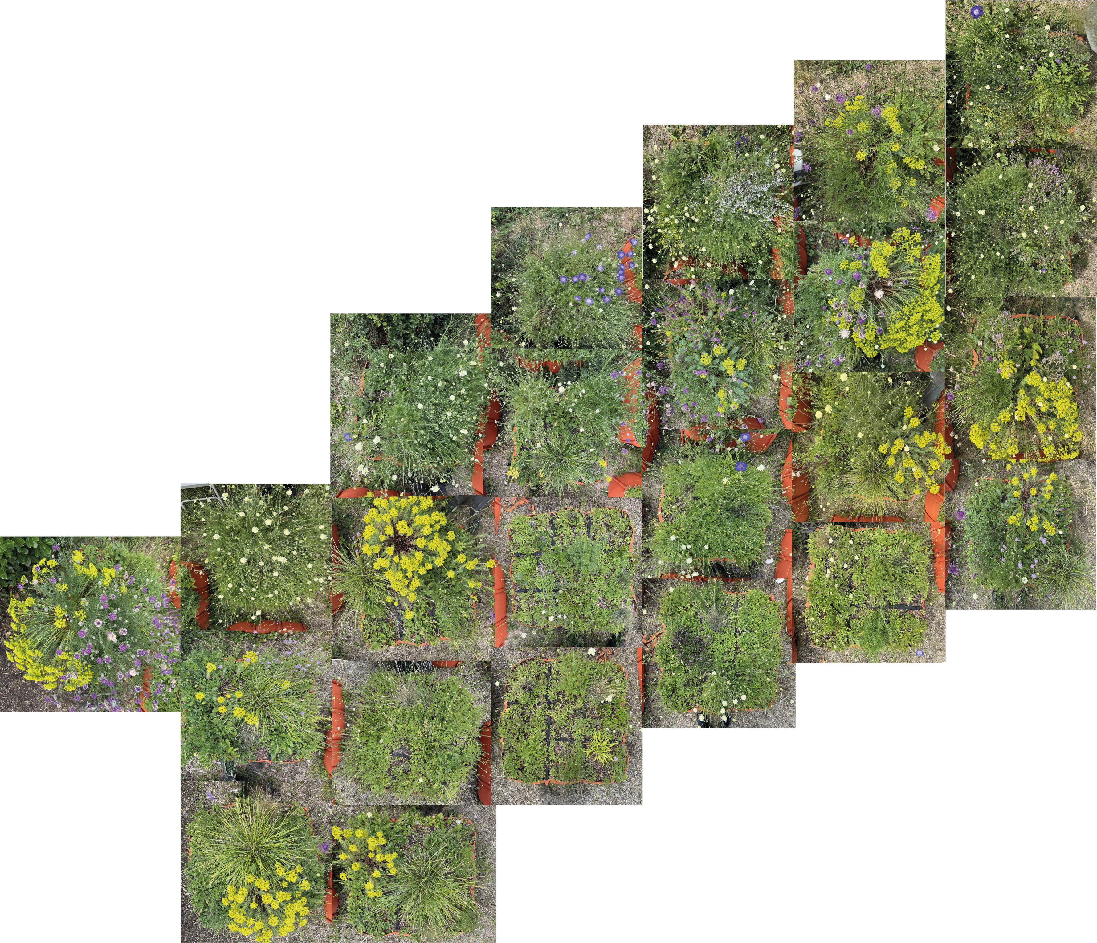 Bay of Finland Garden