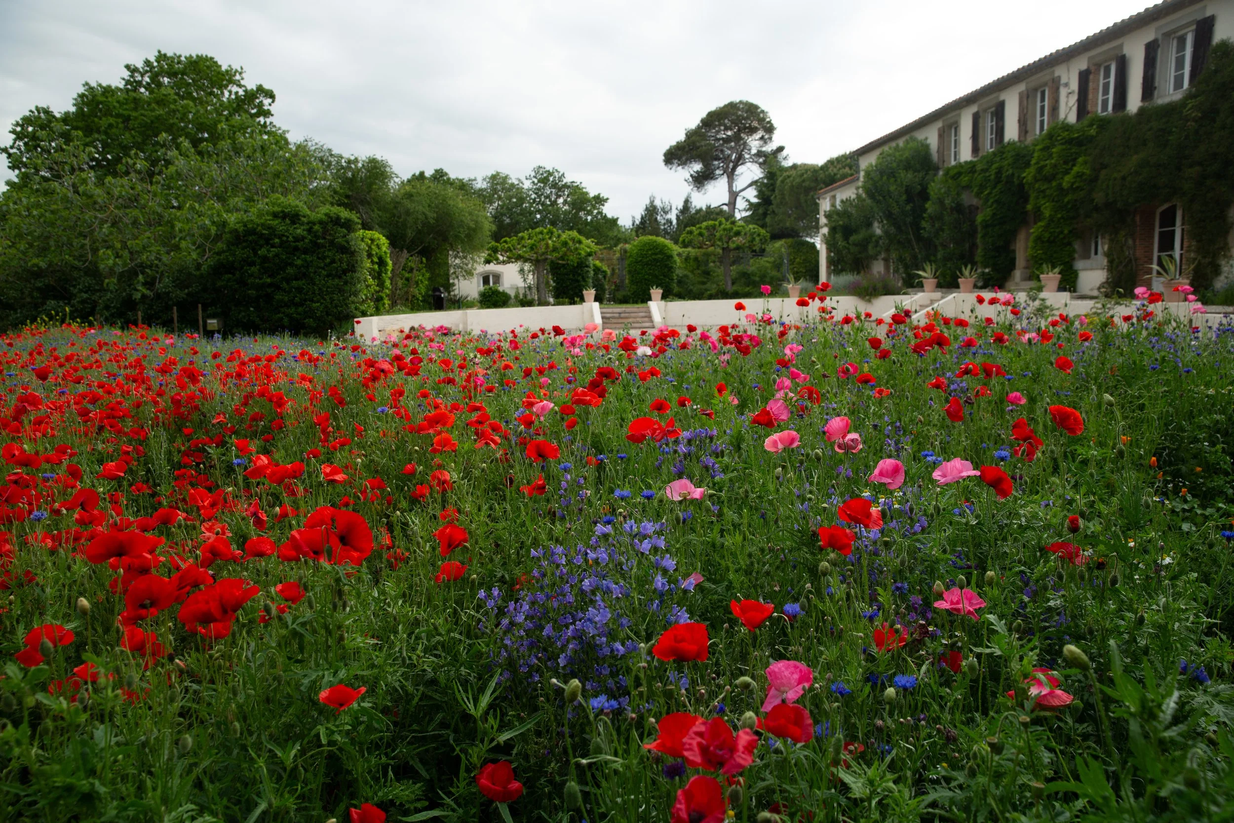 Bay of Finland Garden