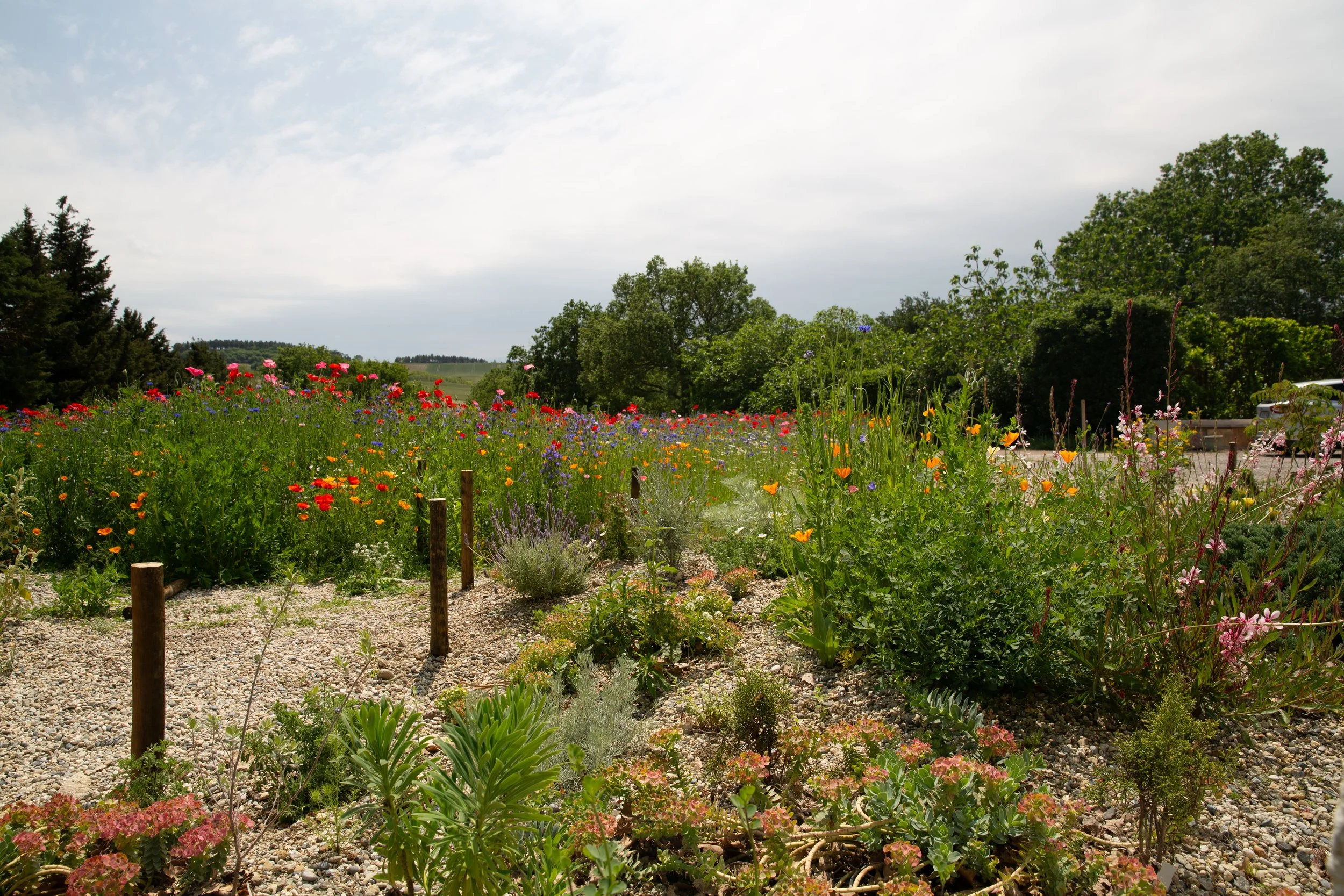 Bay of Finland Garden