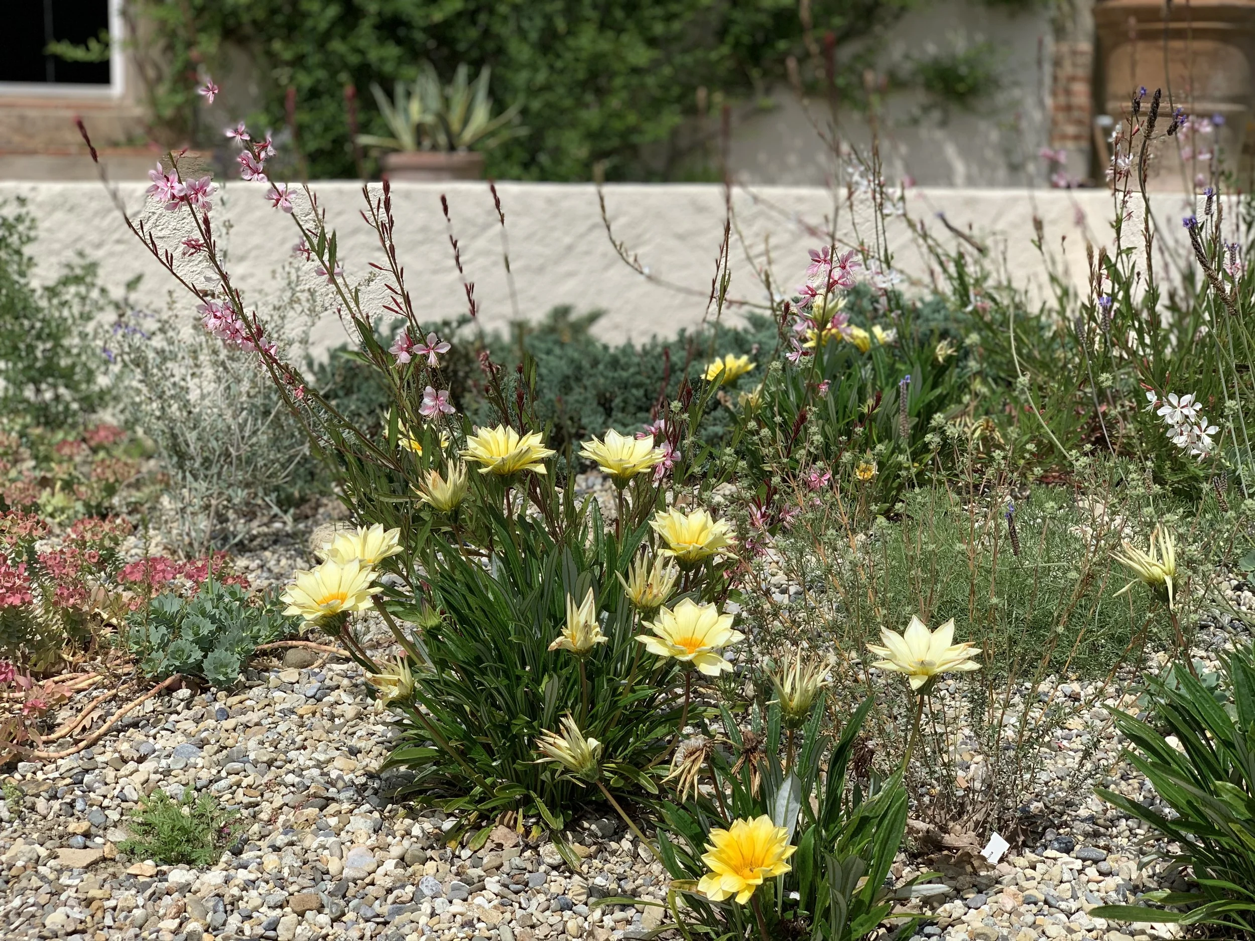 Bay of Finland Garden