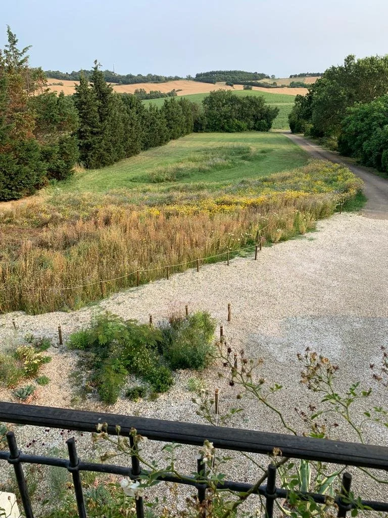 Bay of Finland Garden