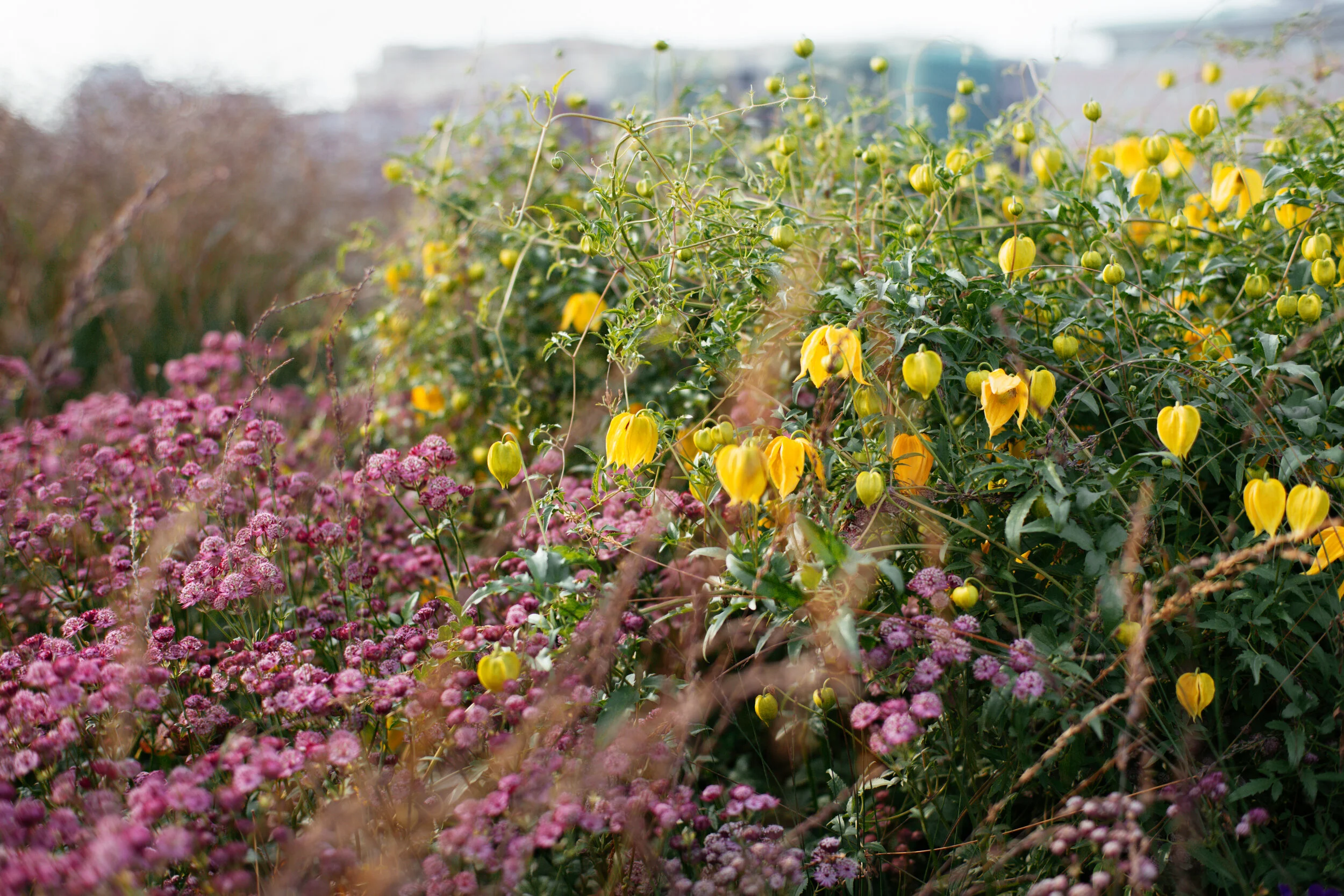 Krymskaya Embankment