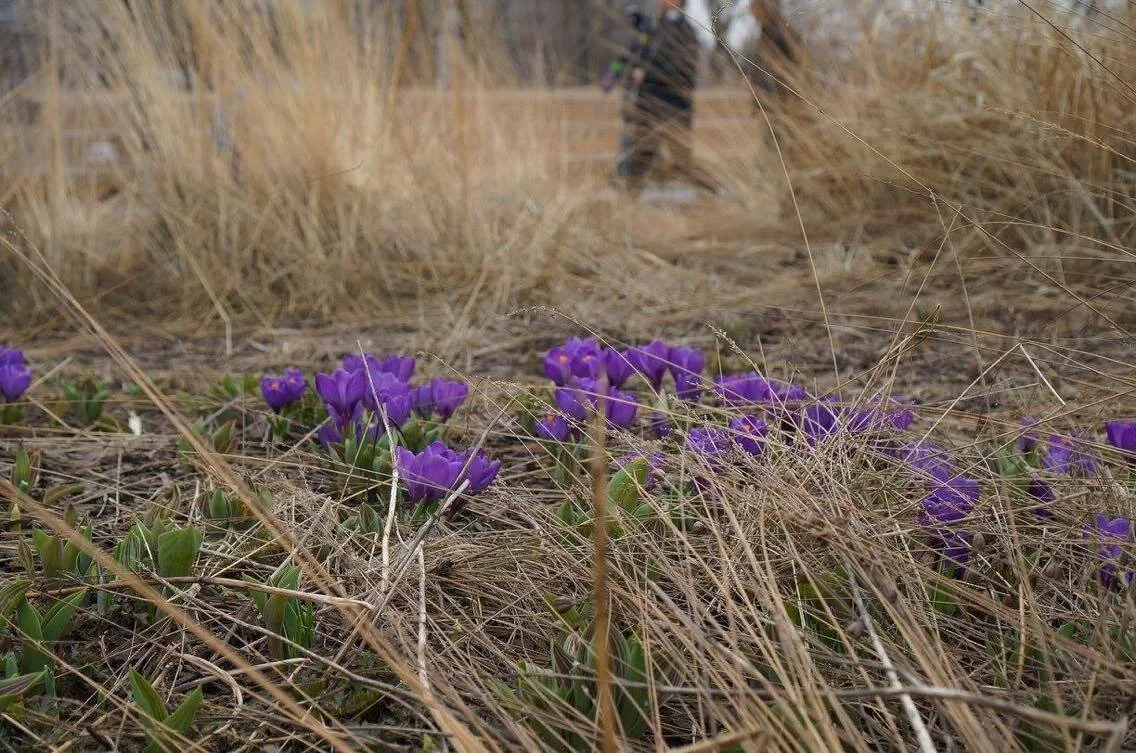 Krymskaya Embankment