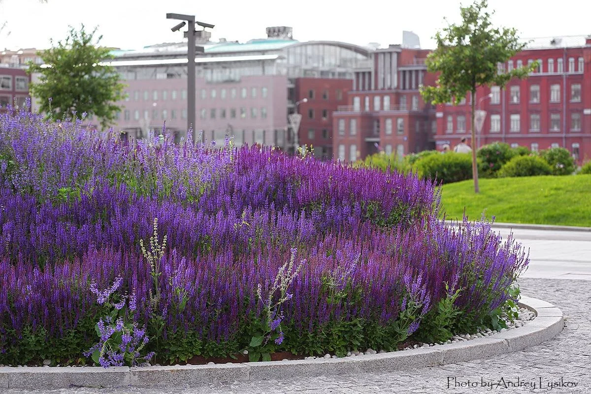 Krymskaya Embankment