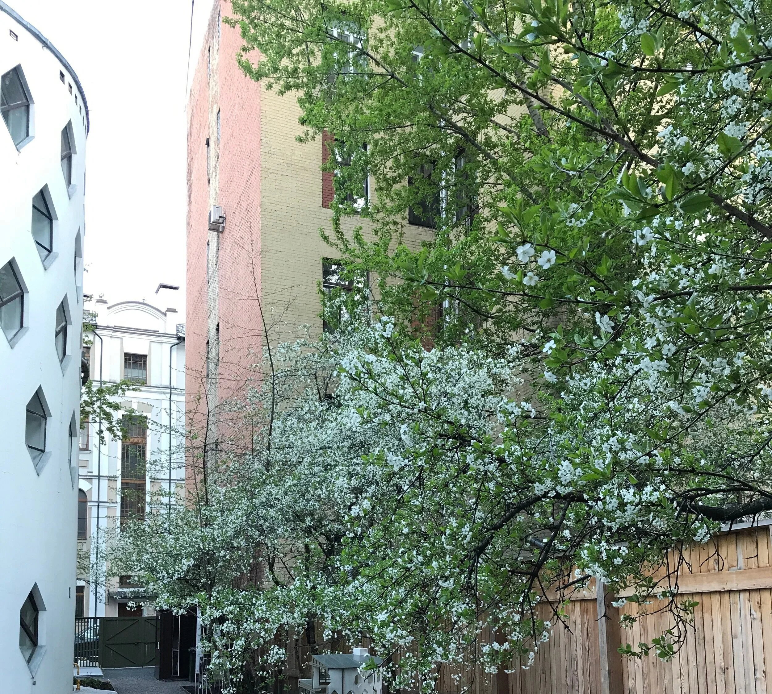 Melnikovs' House Garden