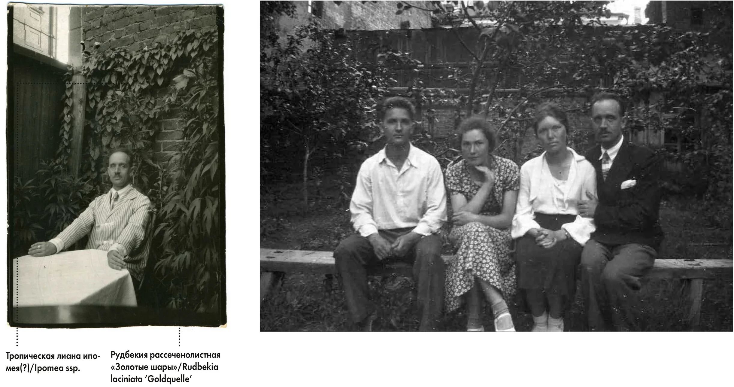 Melnikovs' House Garden