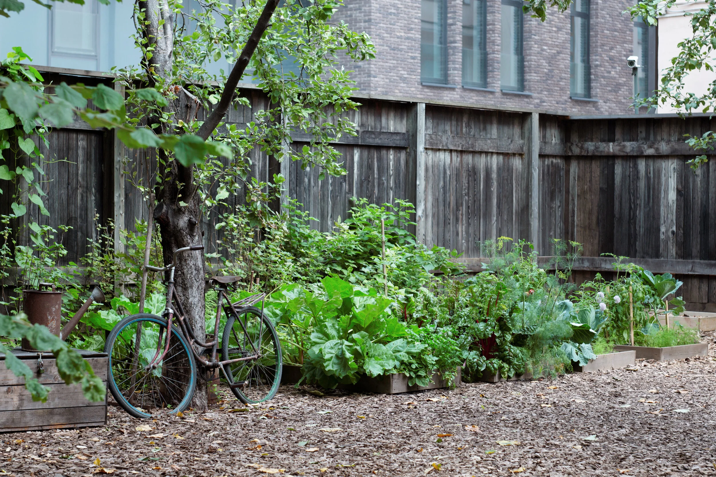 Melnikovs' House Garden