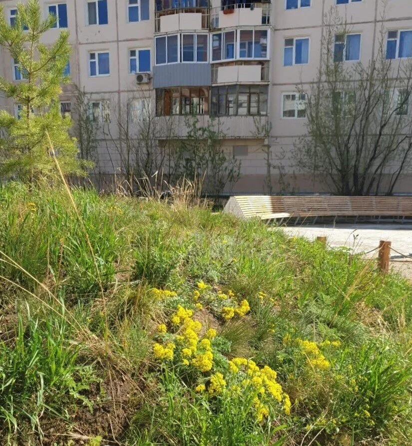 Park of Extremes in Yakutsk