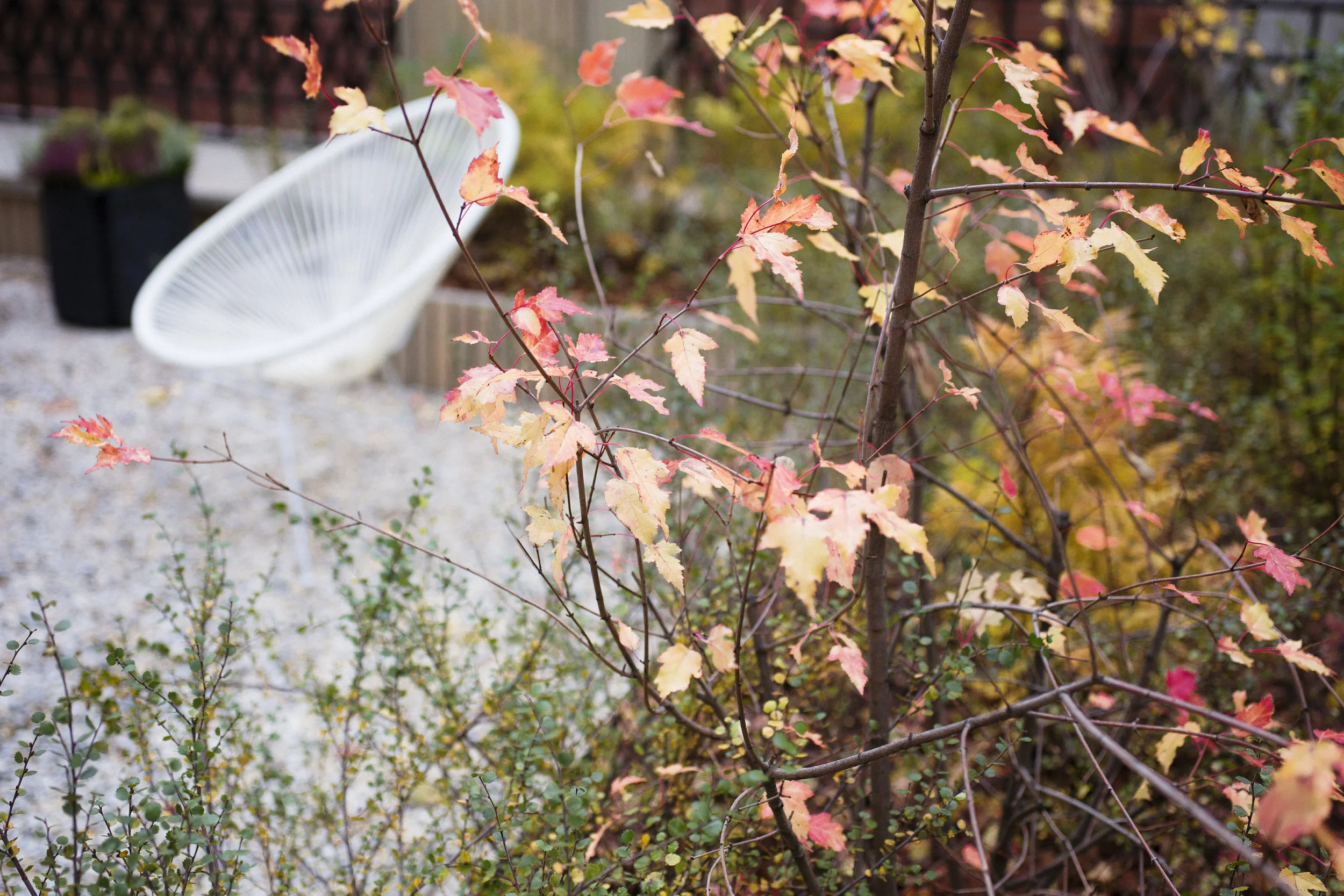 Podium Garden in Central Moscow