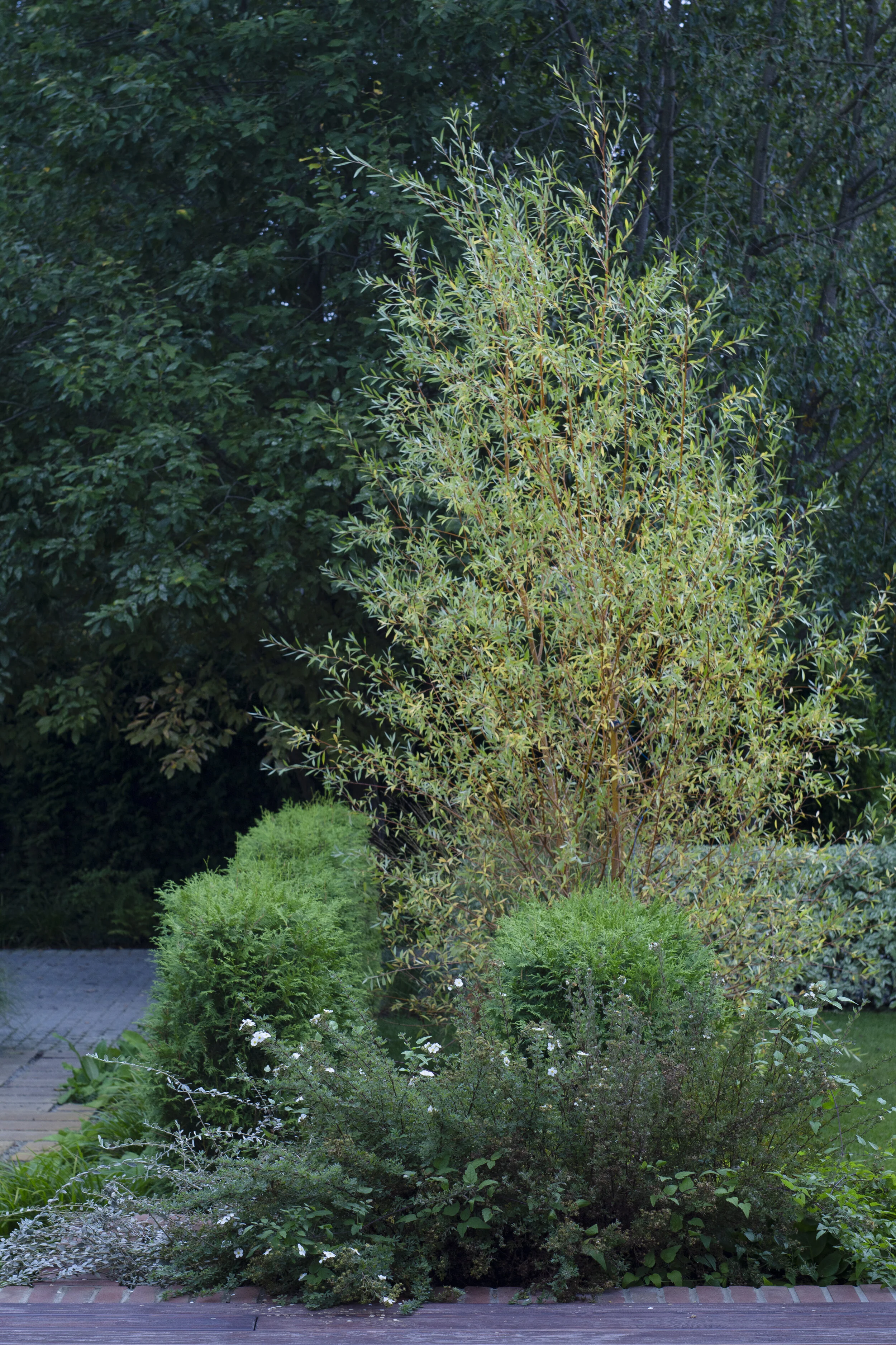 Bay of Finland Garden