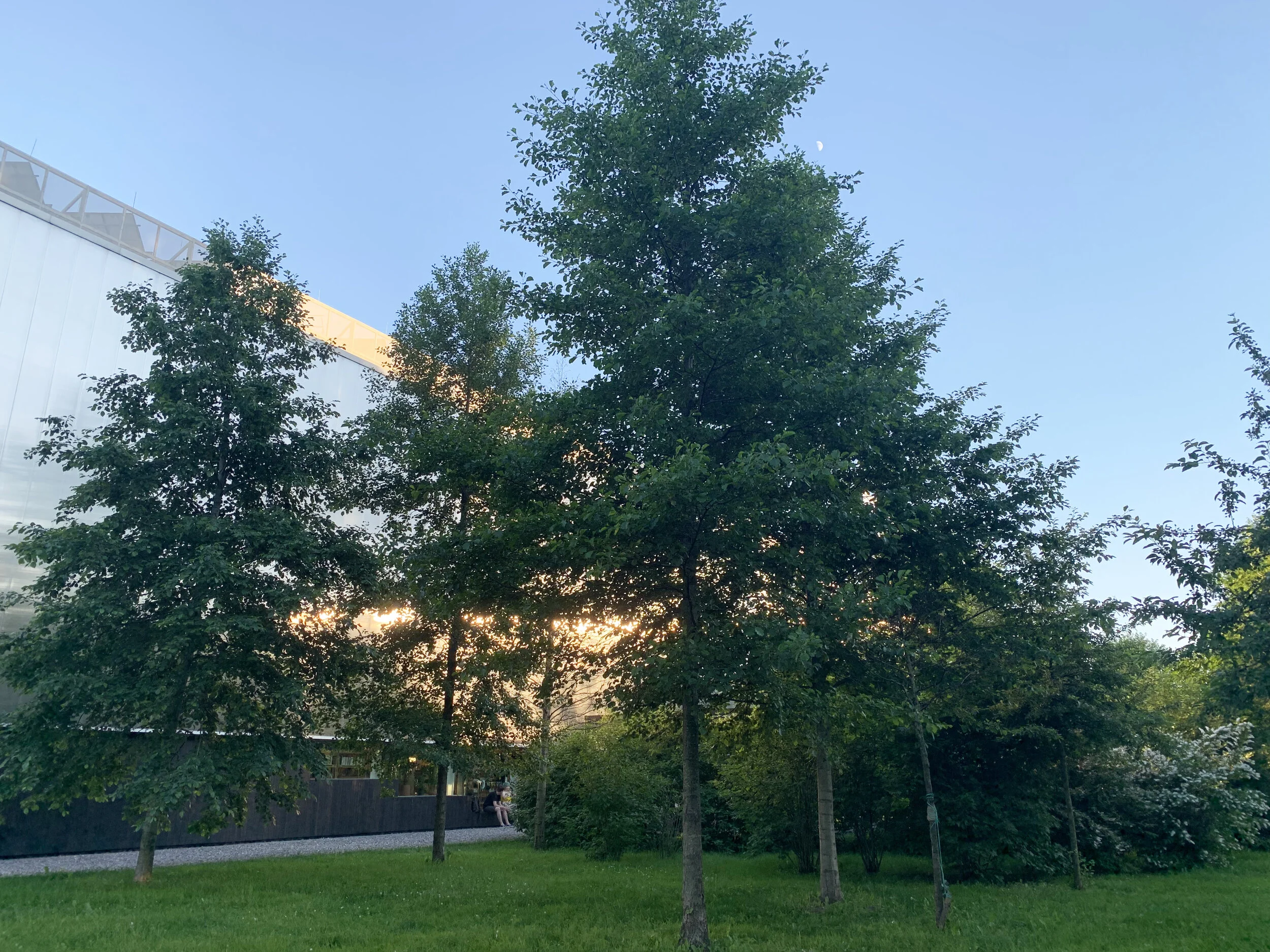 Bay of Finland Garden