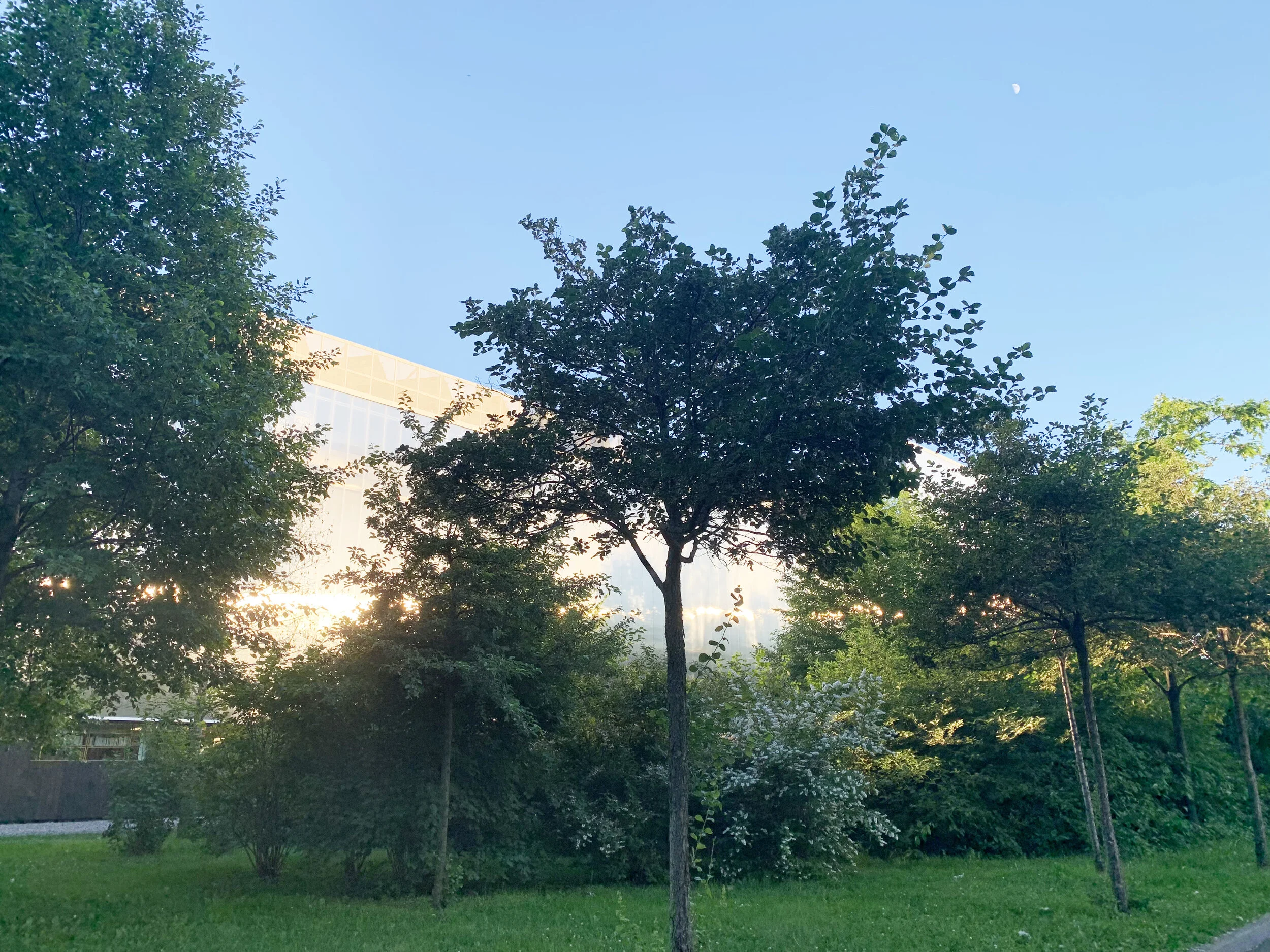 Bay of Finland Garden