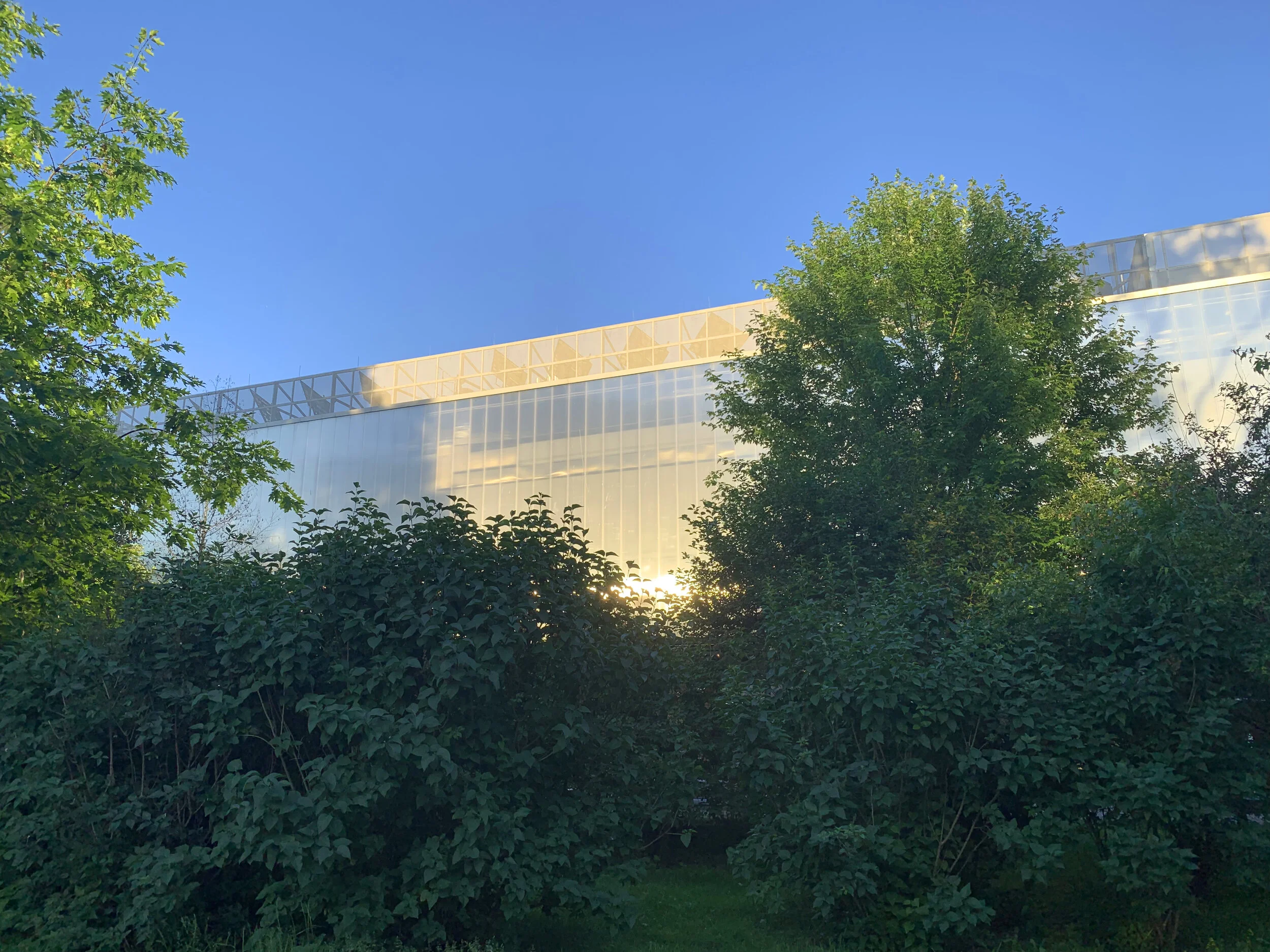 Bay of Finland Garden