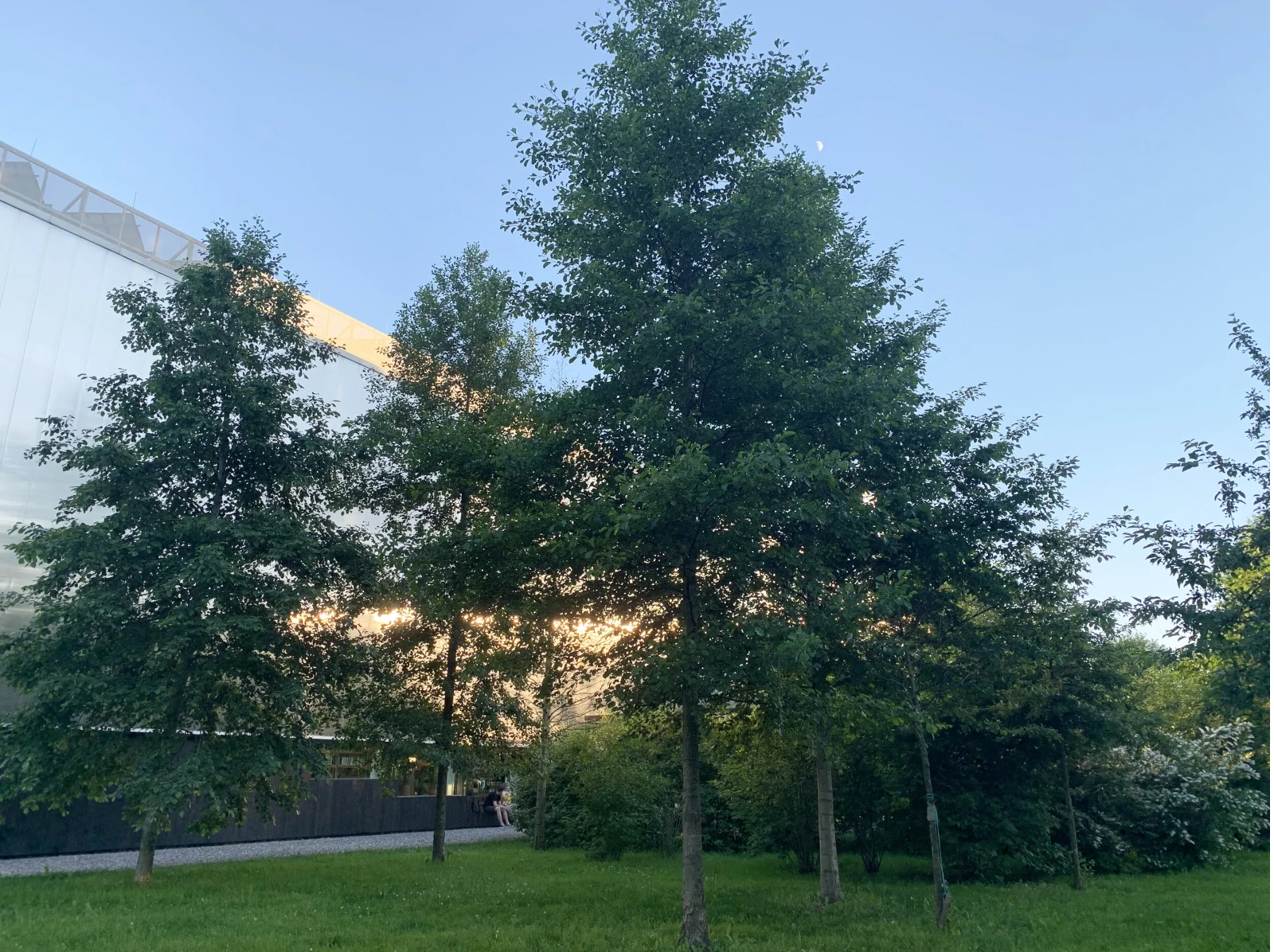 The Garage Museum Forest