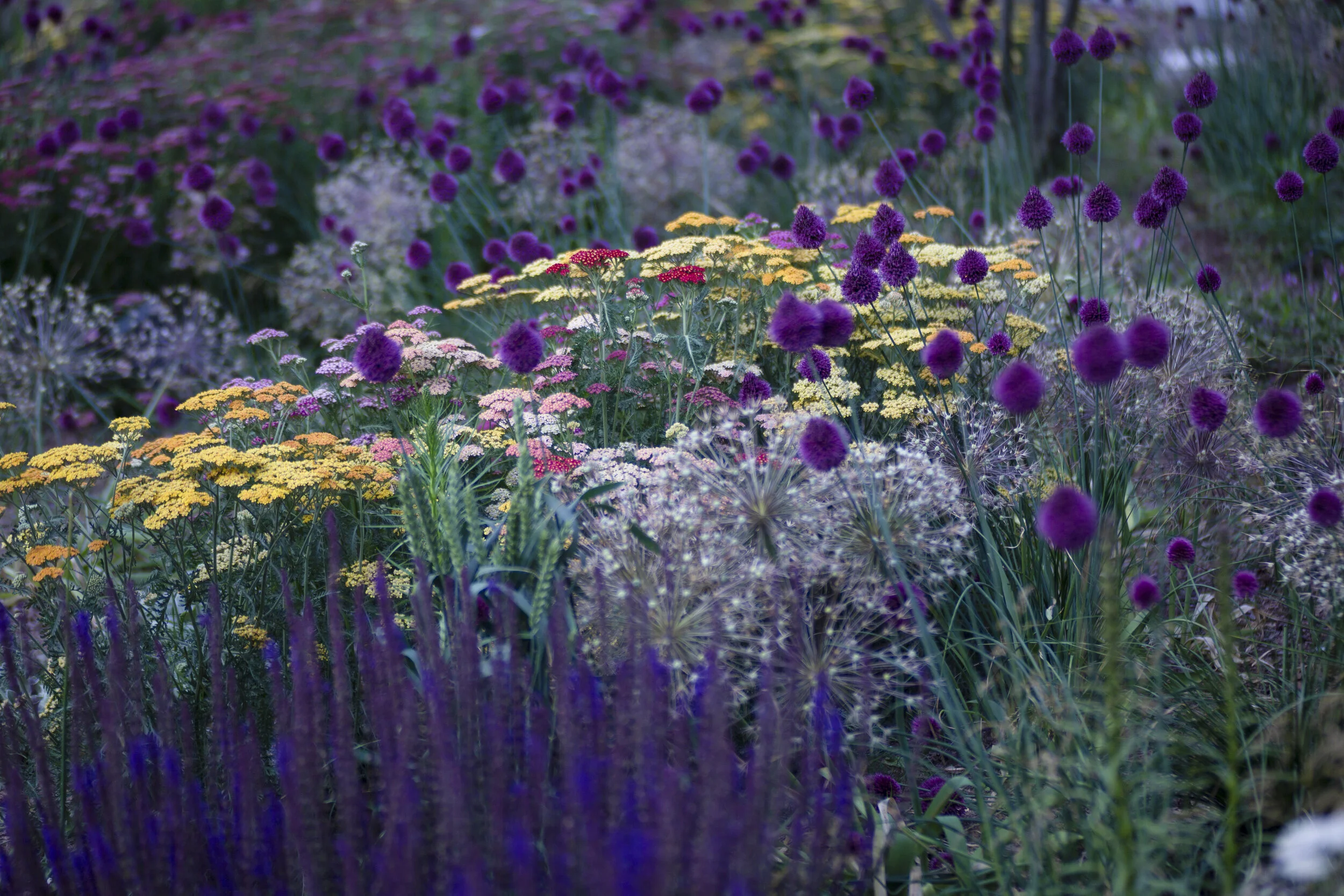 Triumphalnaya Square