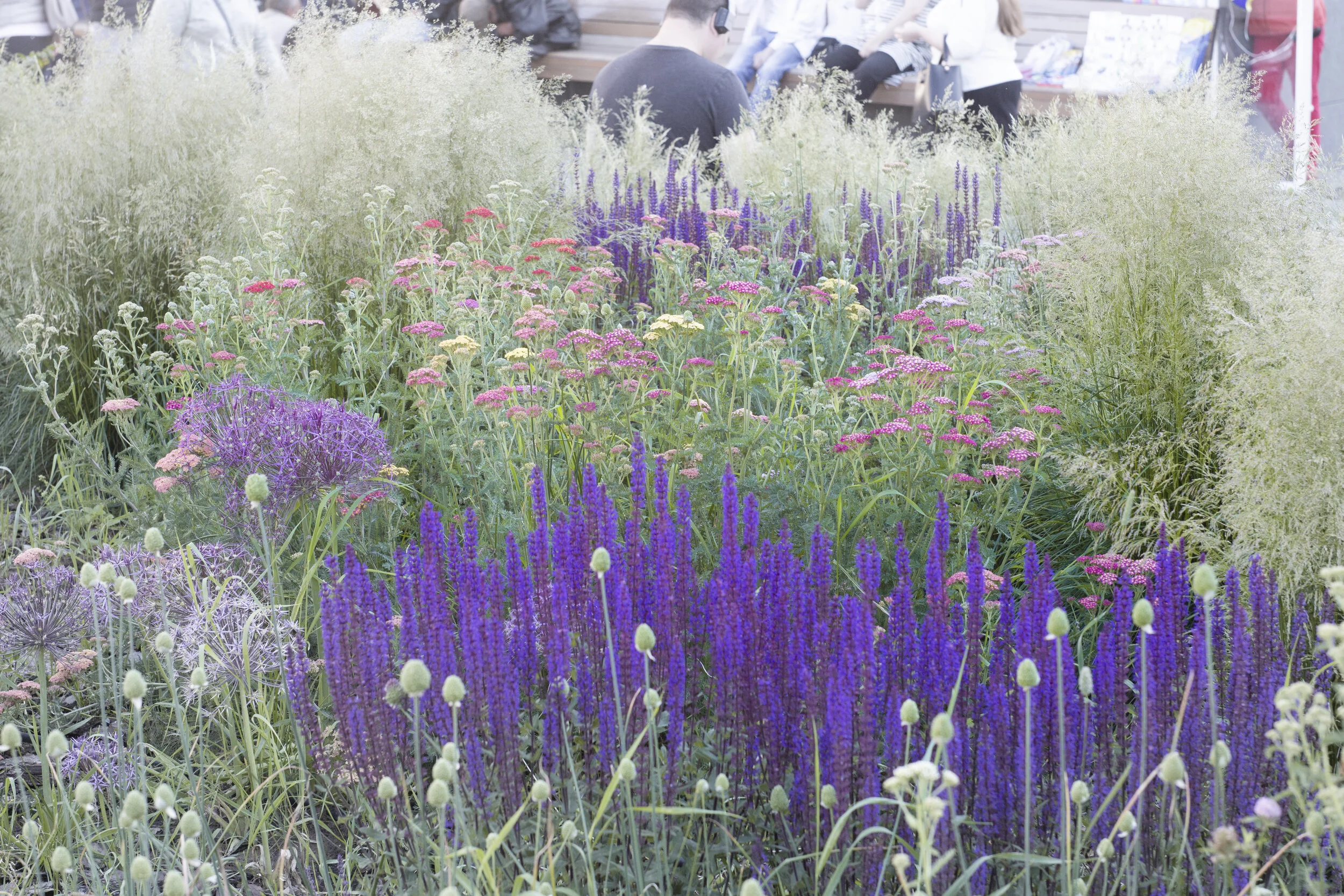 Triumphalnaya Square